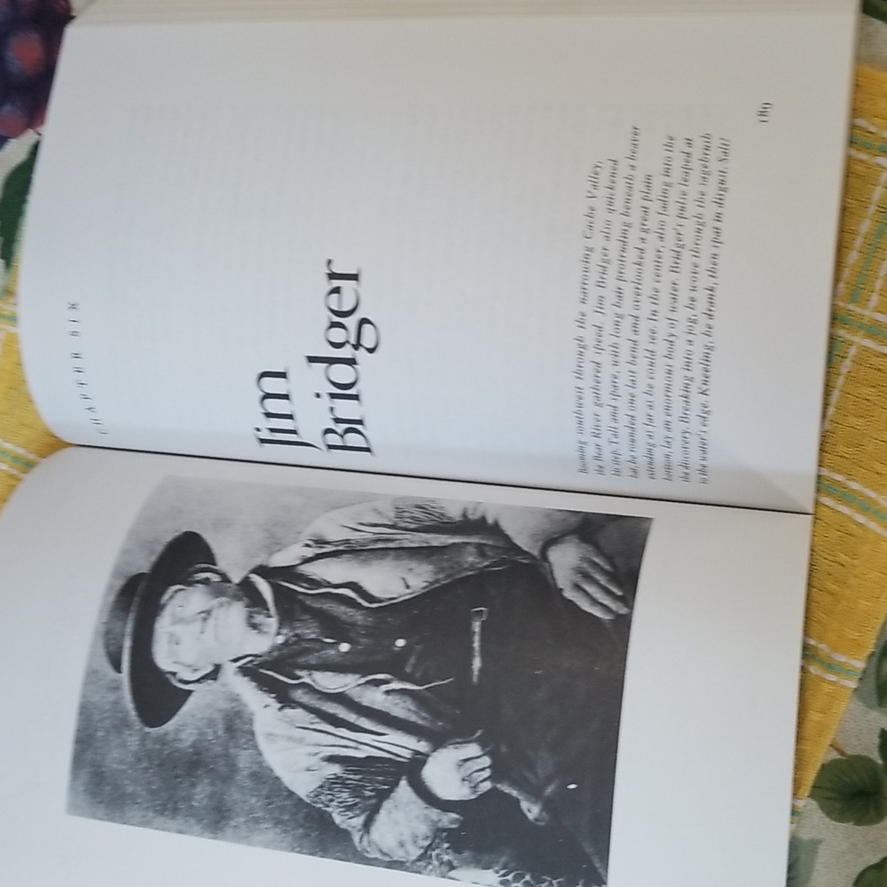 📚FROM THESE BEGINNINGS - Picture 10 of 12
